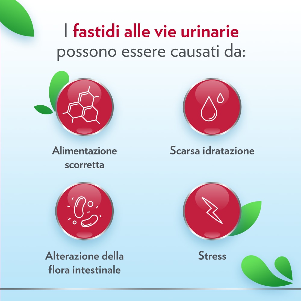 Gyno-CanesCystil® per le vie urinarie